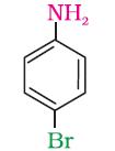 13. AMINES Amines are the derivatives of ammonia. Like ammonia, the nitrogen atom in amines is also sp 3 hybridised with an unpaired electron in one of the sp 3 hybridised orbitals.