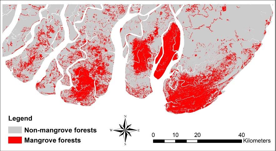 Figure 5: The predicted mangrove forest in Irrawaddy Delta, 2030 6.