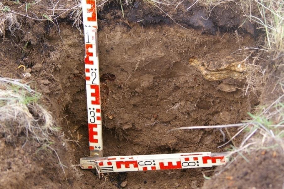 Impact of fire on soil organic matter Cambisol, Central Spain Burnt site 24