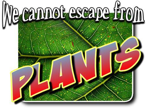 Chapter 14: Page 130 Can you think of a place you have ever visited that did not have any plants at all? I doubt many of you can do this! Plants are everywhere! Our lives depend on plants!