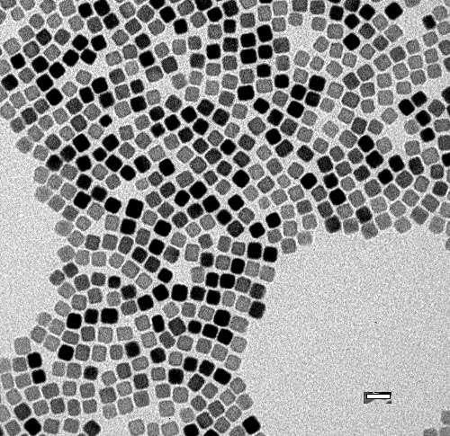 TEM of cubic PbSe nanocrystals 100 nm nm 55 n 5 nm TEM images of