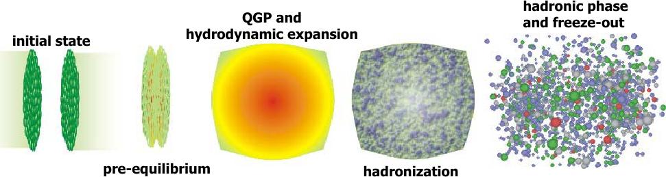 Heavy-Ion collisions in a Nutshell Theory of strong interactions: Quantum Chromo Dynamics, QCD At high enough densities/temperatures: hadrons dissolve into a Quark-Gluon Plasma (QGP) hope to