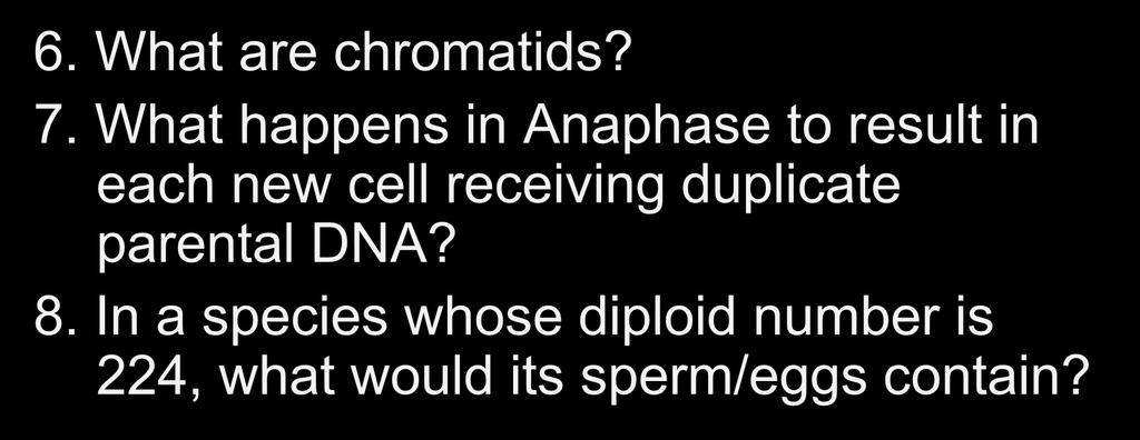 Mitosis Questions 6. What are chromatids? 7.