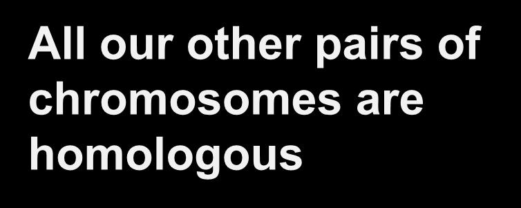 Which pair of chromosomes in us in not
