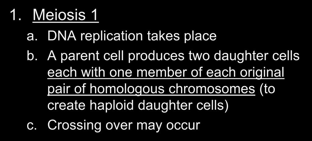 Meiosis Summary 1. Meiosis 1 a. DNA replication takes place b.