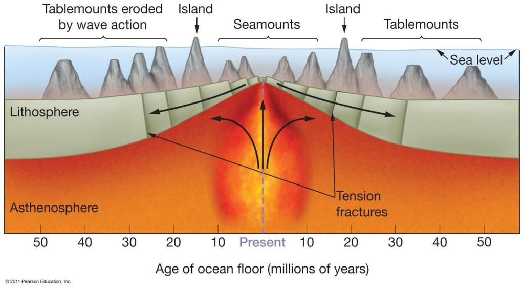 Plate Tectonics and Intraplate Features Seamounts Rounded tops Tablemounts or guyots