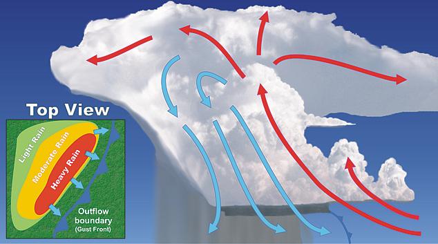 Types of Thunderstorms Multicell Squall Line Main threat: damaging winds and hail Cells form along leading edge of a boundary, such as a cold front Downdraft of