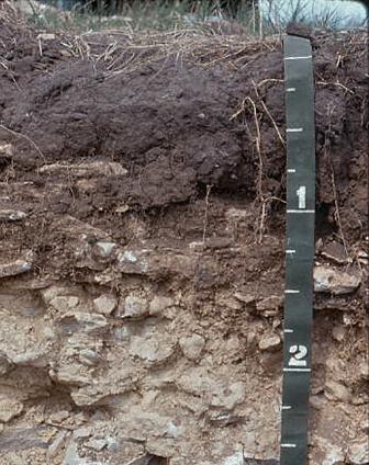 Bedrock Areas Near many of these areas are areas of Channahon soils, also with low