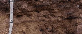 Geologic Stratigraphy Mapped gravelly soils include Dowagiac, a soil with low available water