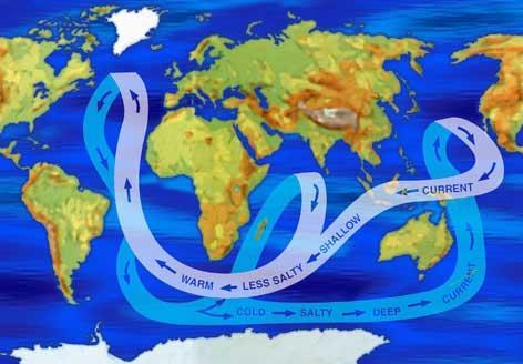 Deep Currents Dense ocean water is by the poles, because