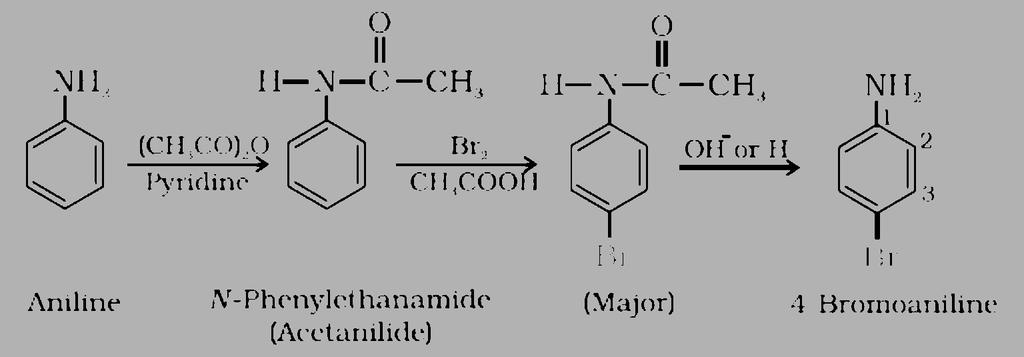 42. Account for the following: (i) p Kb of aniline is more than that of methylamine. (ii) Ethylamine is soluble in water whereas aniline is not.