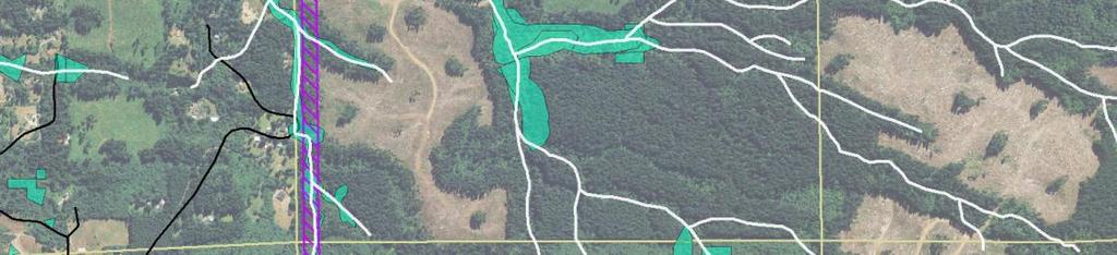 I-5 Corridor Reinforcement Project IN: reams and wetlands within