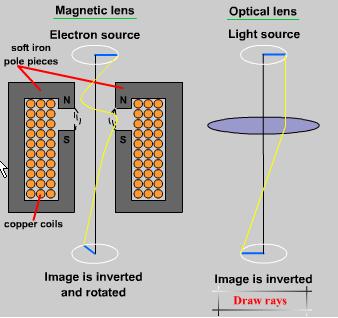 Electron Lenses In 1926, Hans Busch discovered that magnetic fields could act as lenses by causing electron beams to converge to a focus.