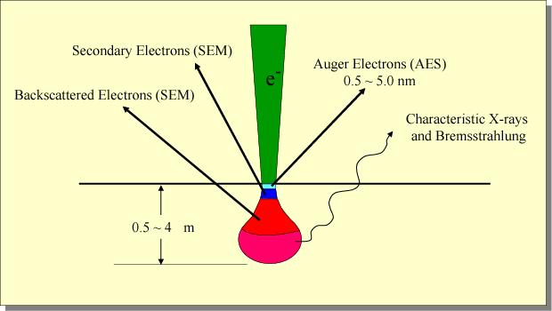 Interaction of Electrons with a thick specimen (SEM) In theory, a higher voltage should give better resolution because of reduction in wavelength of the beam of electrons.