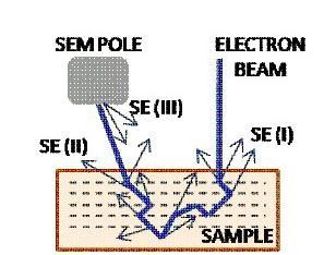 Secondary Electrons Secondary electrons are defined as those electrons emitted that have an energy of less than 50 ev.