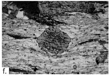 Fig. 2. Photomicrograph of a garnet porphyroblast from Coos Canyon.