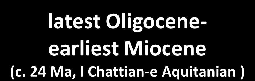 latest Oligoceneearliest Miocene (c.