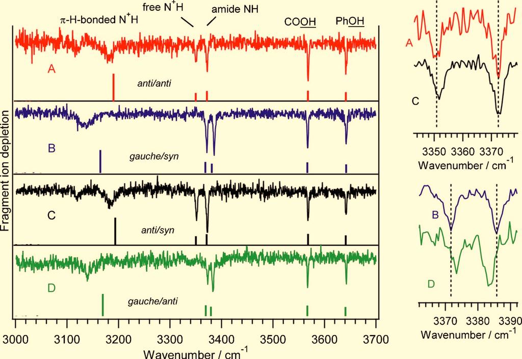 154322-4 Stearns et al. J. Chem. Phys. 127, 154322 2007 FIG. 5. Color online Infrared spectra of the four band origins of H + TyrAla, located at 35 174.8 cm 1 A, 35 223.2 cm 1 B, 35 277.