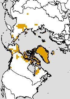 October Snow cover: Evolution in 2009 towards negative AO 30 Sep 09 31Oct 09