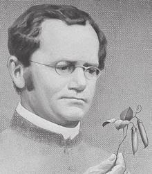 CHAPTER 3 1 Mendel and His Peas SECTION Heredity BEFORE YOU READ After you read this section, you should be able to answer these questions: What is heredity? How did Gregor Mendel study heredity?
