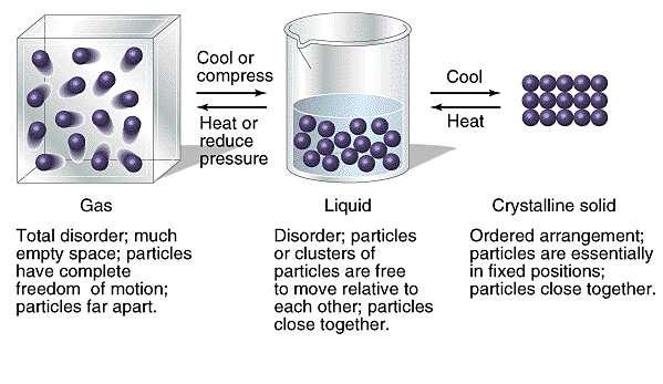 A Molecular Comparison
