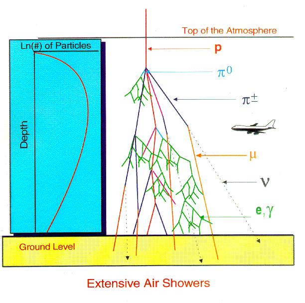 atmosphere. The number and type of particles in the shower change with depth in the atmosphere because of the creation, the decay, and the energy loss of particles. Figure 1.
