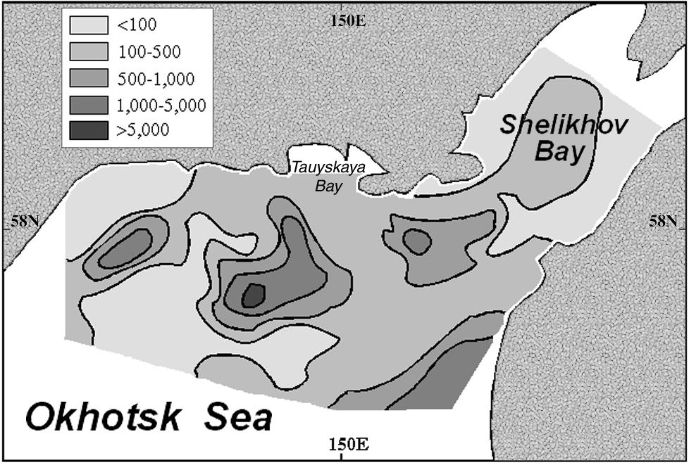northern Okhotsk Sea during August 1964 (from Kotlyar 1965). Figure 23.