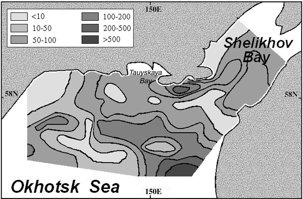 Distribution of Calanus plumchrus biomass (mg m 3 ) in the 0-100 m layer in the northern Okhotsk Sea during August 1964 (from Kotlyar 1965).