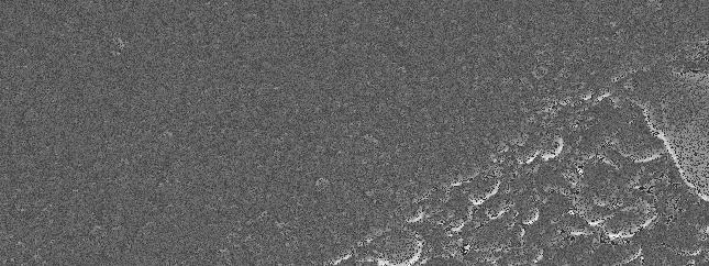 +49-69-218-5656 +86-21-6119-1052 Fig. 3 SEM image of the dense, highly ordered packing of SiO 2 particles in a thermally crosslinked Dynasylan SIVO 110 layer.