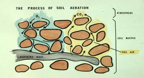 The Soil Atmosphere Air in the soil usually