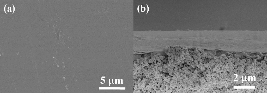 Fig. S6 SEM views of ceramic supported PVA