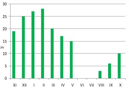 resembling bulbs (seeds it does not), who get three and four year-old plants. The end of the vegetation observed in the first half of May. The vegetation duration of the 200-210 days (Figure 3).