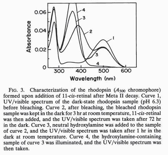 XV 83 Comparison of porphyrin and hemoglobin absorb.