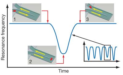 Resonant mass measurements (RMM) Suspended microchannel resonator (SMR) Laser Split