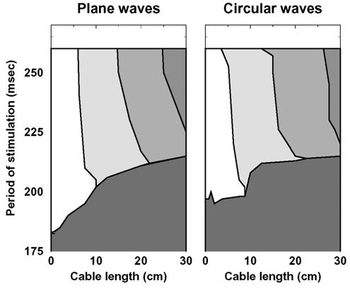 curved fronts at smaller periods. Far from the pacing site the distribution for plane waves and circular waves coincide as the curvature of the circular waves decreases.