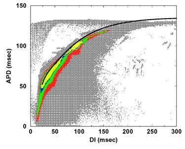 A B Figure 41. (A) Density plot of restitution. DI, APD pairs are gathered from all sites over a five-second simulation and grouped into 0.5 ms wide bins.