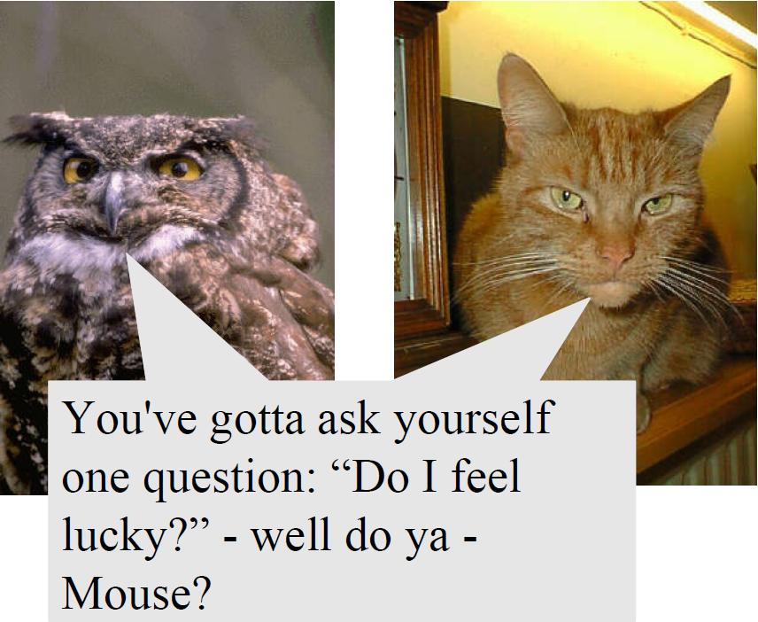 How to tell an owl from a cat Intelligent Data