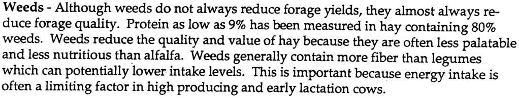 Weeds -Although weeds do not always reduce forage yields, they almost always reduce forage quality. Protein as low as 9 has been measured in hay containing 80 weeds.