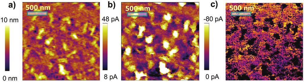 Figure 3: Images of topography (a), current collected at +1V (b) and current collected at 1V (c) of 30:70 DPPBFu:PC 71 BM films. The photoactive film is deposited on ITO/PEDOT:PSS substrate.