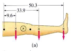 CM for a Leg Determine the center of mass of a leg when a) stretched out and b) bent at 90. Assume the person is 1.70 m tall.