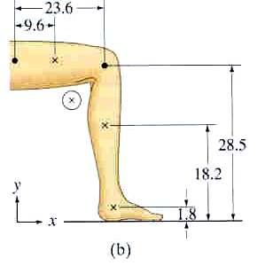 CM of Leg b) Bent leg xcm (1.5)(9.6) (9.6)(3.6) (3.4)(3.6) 1.5 9.6 3.4 14.9 units ycm (3.4)(1.8) (9.6)(18.) (1.5)(8.5) 1.5 9.6 3.4 3.