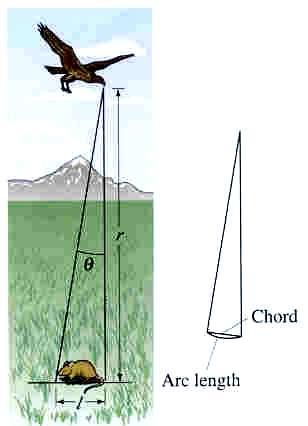 Example: Bird of Prey A bird s eye can distinguish objects that subtend an angle no smaller than 3 10-4 rad. How many degrees is this? 4 360 θ 310 rad 0.