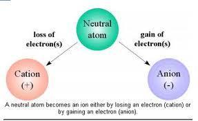 Ionic Radii Cation- Positively charged ions formed when an atom of a metal loses one or more electrons Anion - Negatively charged