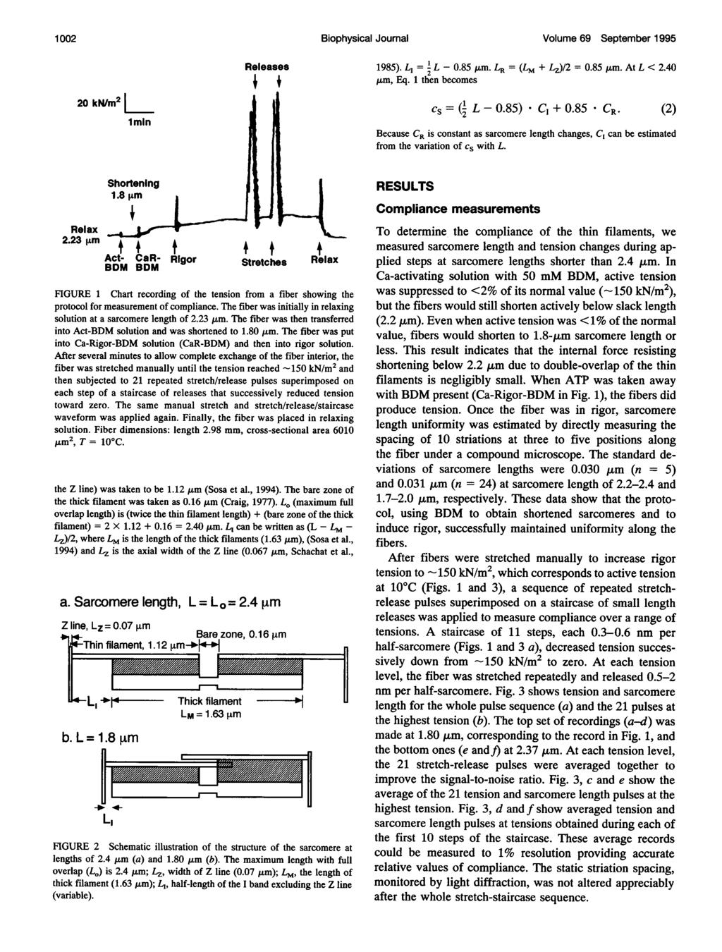 1 2 Biophysical Journal Volume 69 September 1995 2 kn/m2 1 min Shortening 1.8 [tm i Relax 2.