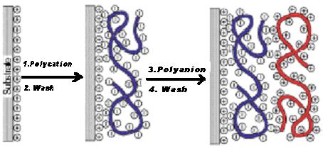 oppositely charged molecule in the solution (polyanion). This phenomenon has long been known to be a factor in the adsorption of small organics and polyelectrolyte.