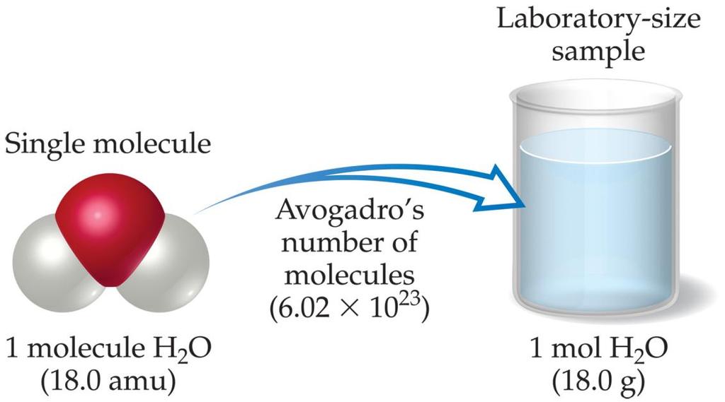 Avogadro s Number 6.