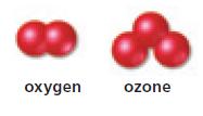 Even though each of these molecules are made up