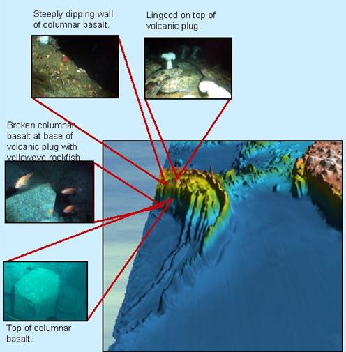 The ADFG fisheries scientists and managers and the Moss Landing Marine Laboratories geologists planned groundtruth observation operations using these high-resolution seafloor maps.