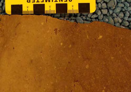 peloidal grainstone Peloidal packstone