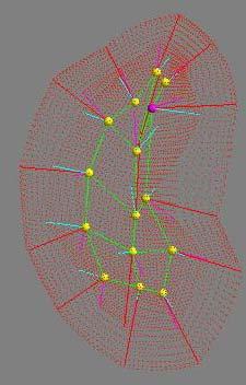 Sarang Joshi 2/16/2003 #6 Statistics of Medial descriptions Each figure a quad mesh of medial atoms: { m m 0 i, j 0 i, j : = i = 1L N, j = 1L M ( x i, j, r,